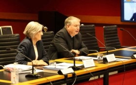 Dr Deirdre Little and Archbishop Anthony Fisher OP appearing at the NSW parliamentary inquiry into the ‘Equality bill’. Photo: NSW Parliament